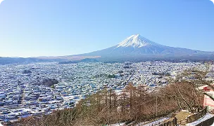 富士市密着の相棒